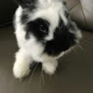 Meet your Posher, Makabre